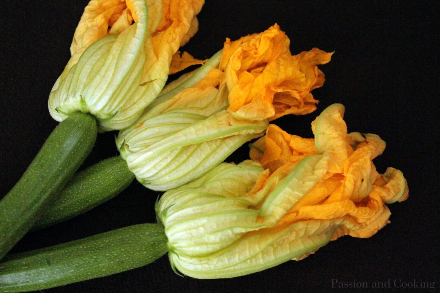 Zucchini Flower Risotto