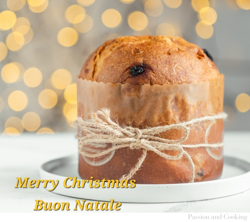 Panettone